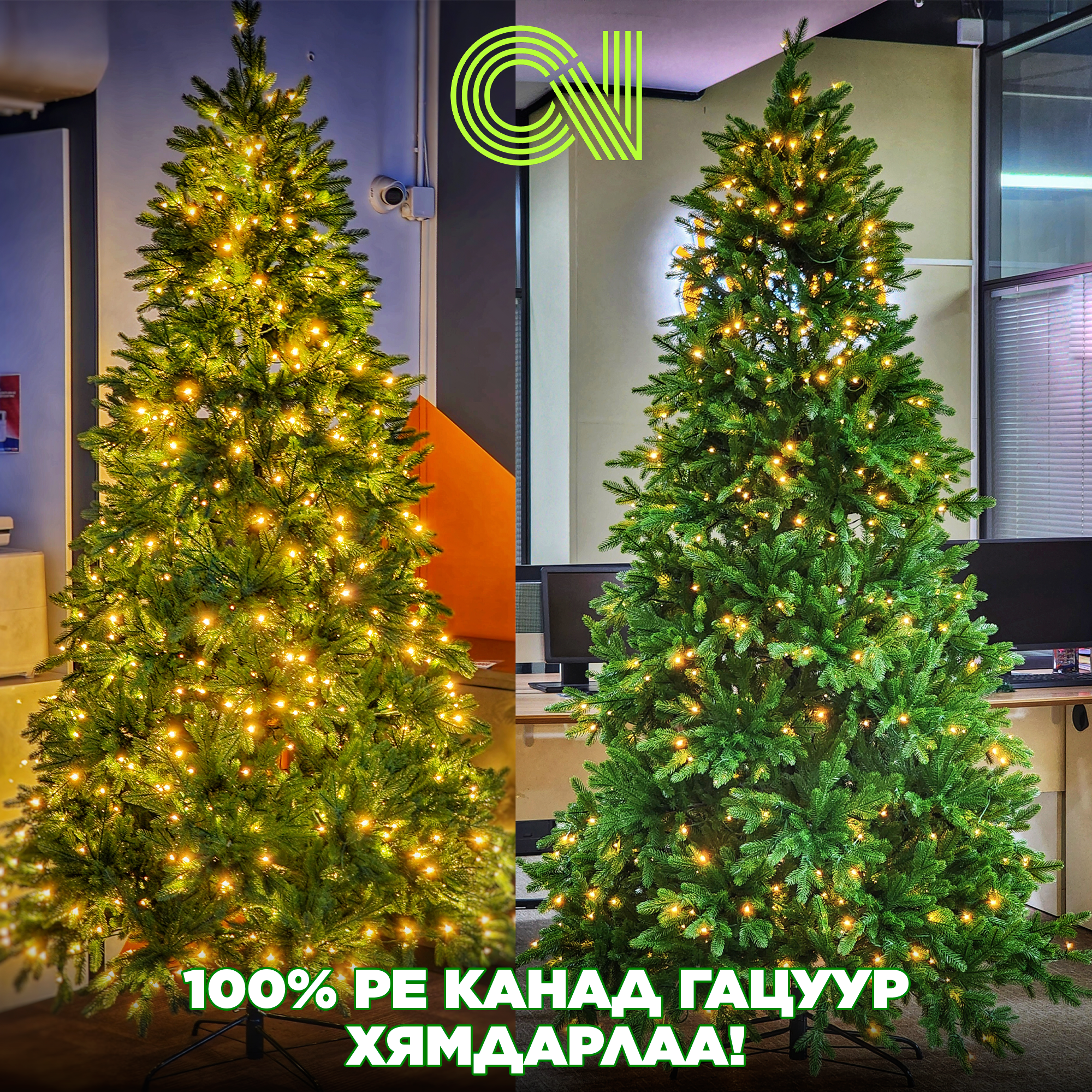 2024 оны шинэ Канад гацуур, өөрөөсөө гэрэлтэй PE